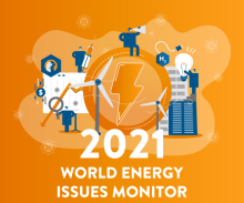 Issues Monitor Survey